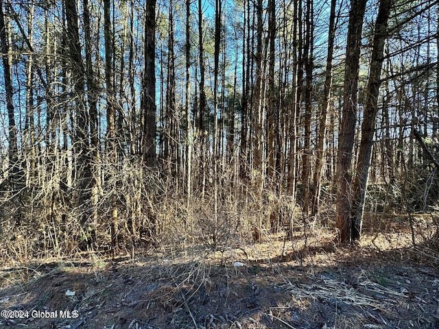 LOT10 Eagle Bridge Rd, Hoosick NY, 12057 land for sale