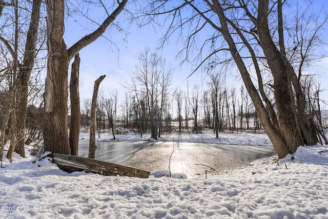 view of yard covered in snow