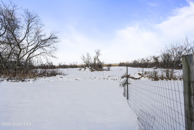 view of yard layered in snow