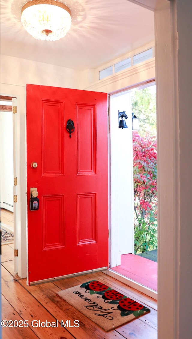 view of exterior entry featuring a baseboard radiator