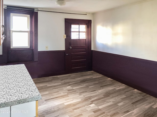 entrance foyer with wood-type flooring