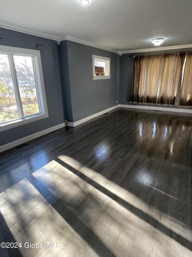 spare room with ornamental molding and dark wood-type flooring