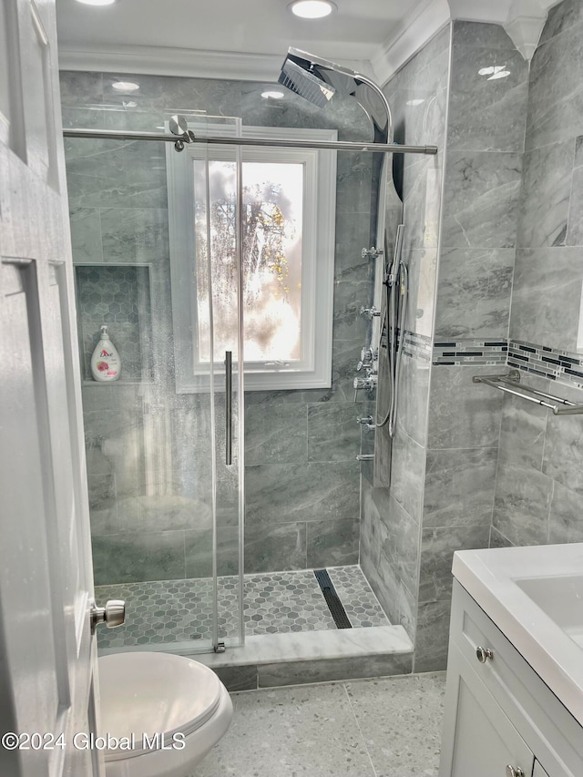 bathroom with vanity, an enclosed shower, and toilet