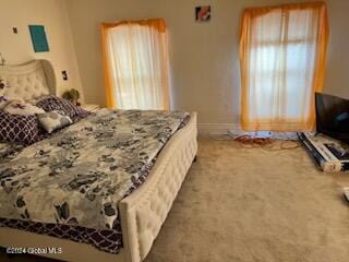 carpeted bedroom with multiple windows