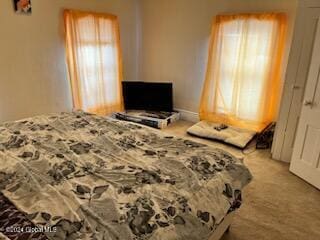 bedroom featuring multiple windows