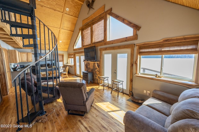 living room featuring light hardwood / wood-style flooring, a wood stove, and a healthy amount of sunlight