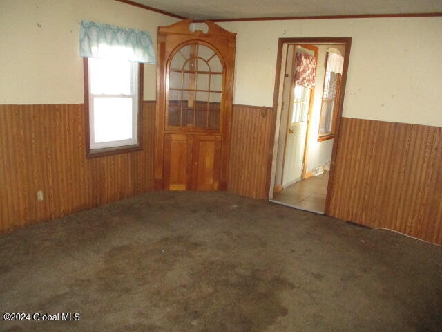 unfurnished room with ornamental molding, carpet floors, and wooden walls