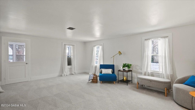 living area featuring carpet floors and a wealth of natural light