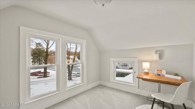 bonus room with light colored carpet and vaulted ceiling