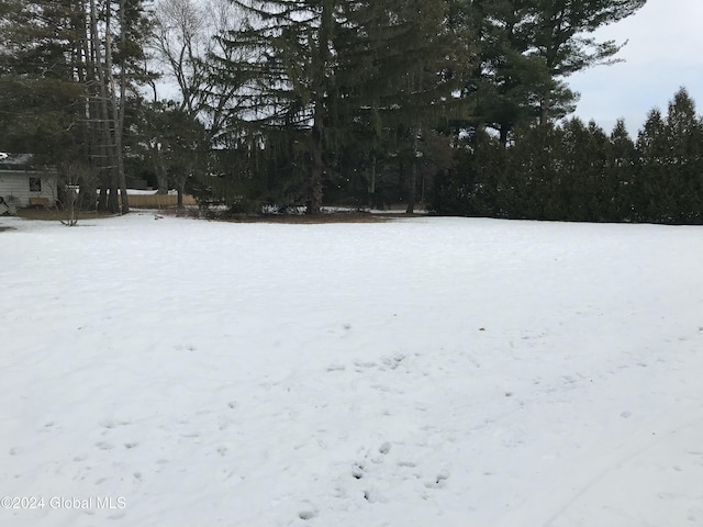 view of snowy yard