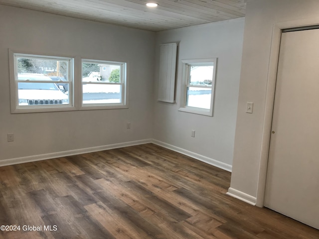 spare room featuring dark wood-type flooring and a healthy amount of sunlight