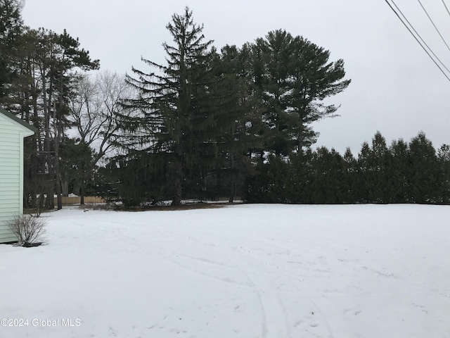 view of yard layered in snow