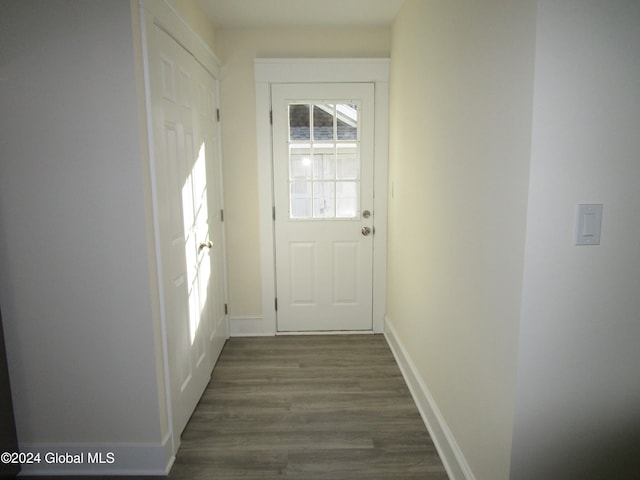 entryway featuring dark wood-type flooring