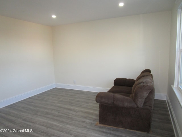 living area featuring dark hardwood / wood-style floors