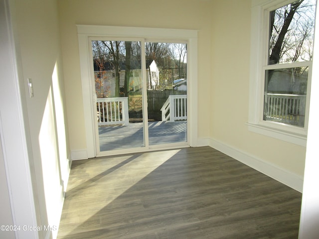 interior space with dark wood-type flooring