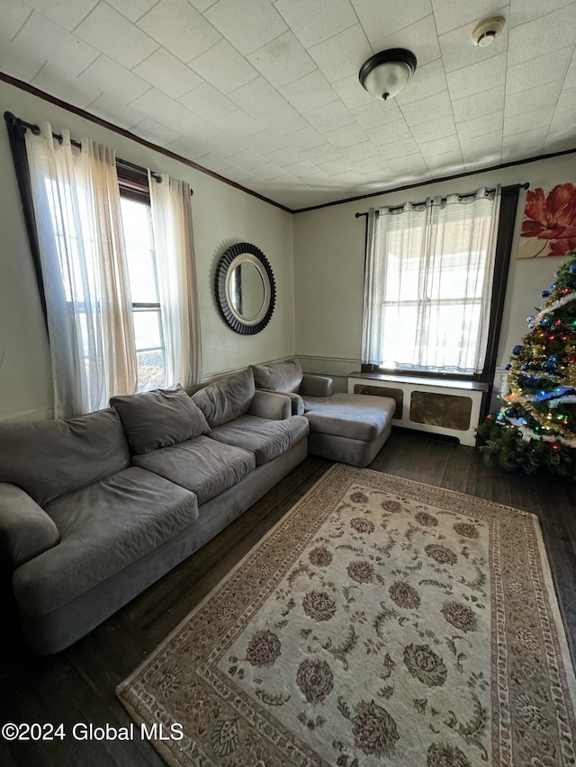 living room featuring crown molding and dark wood-type flooring