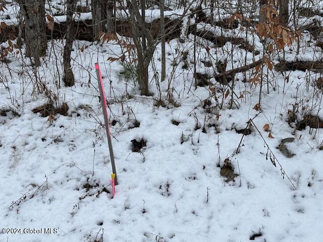 1291 Glen-Athol Rd, Thurman, NY 12885 - photo 3