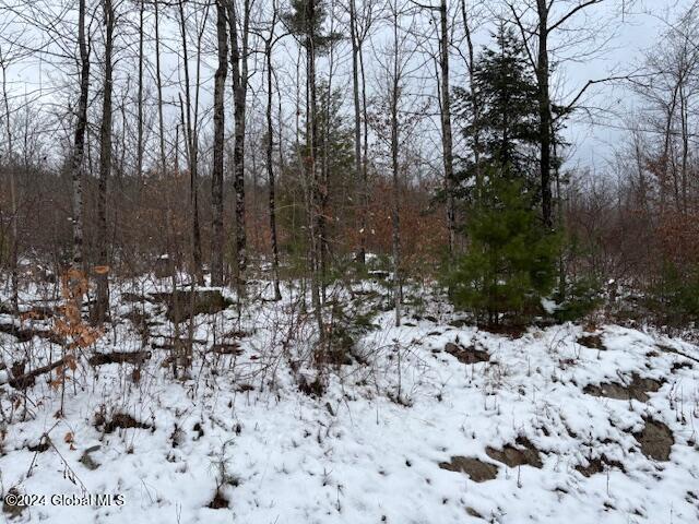 1291 Glen-Athol Rd, Thurman, NY 12885 - photo 4