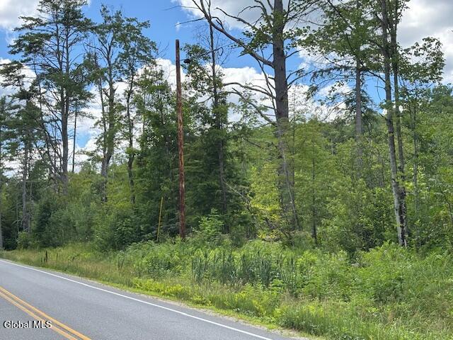 1291 Glen-Athol Rd, Thurman, NY 12885 - photo 10
