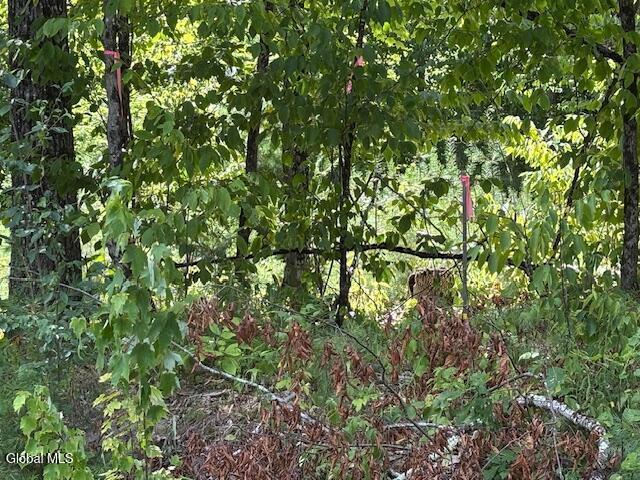 1291 Glen-Athol Rd, Thurman, NY 12885 - photo 11