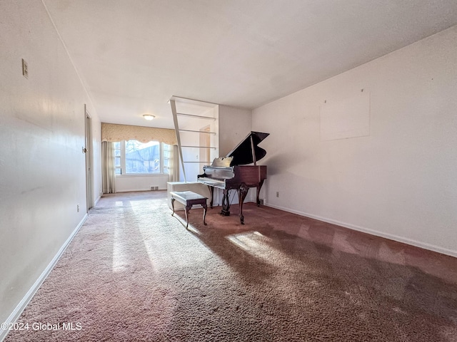 miscellaneous room with carpet flooring