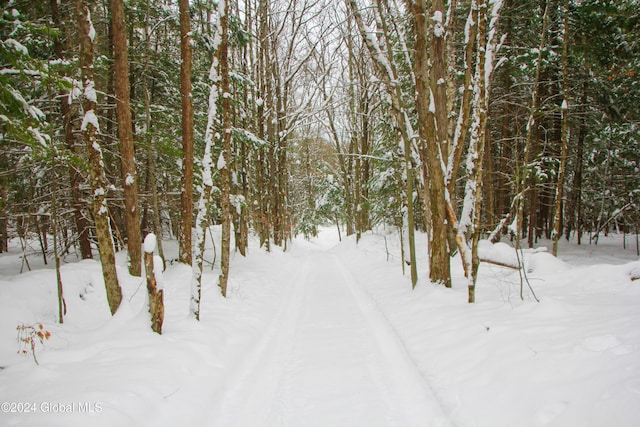 L1 Lassen Rd, Broome NY, 12122 land for sale