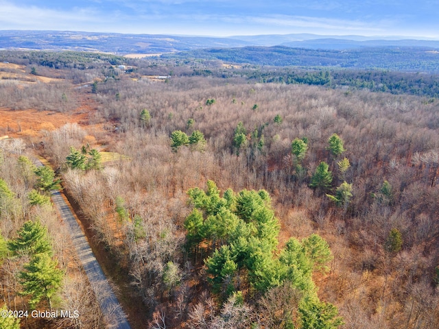 184 Curry Hill Rd, Carlisle NY, 12160 land for sale