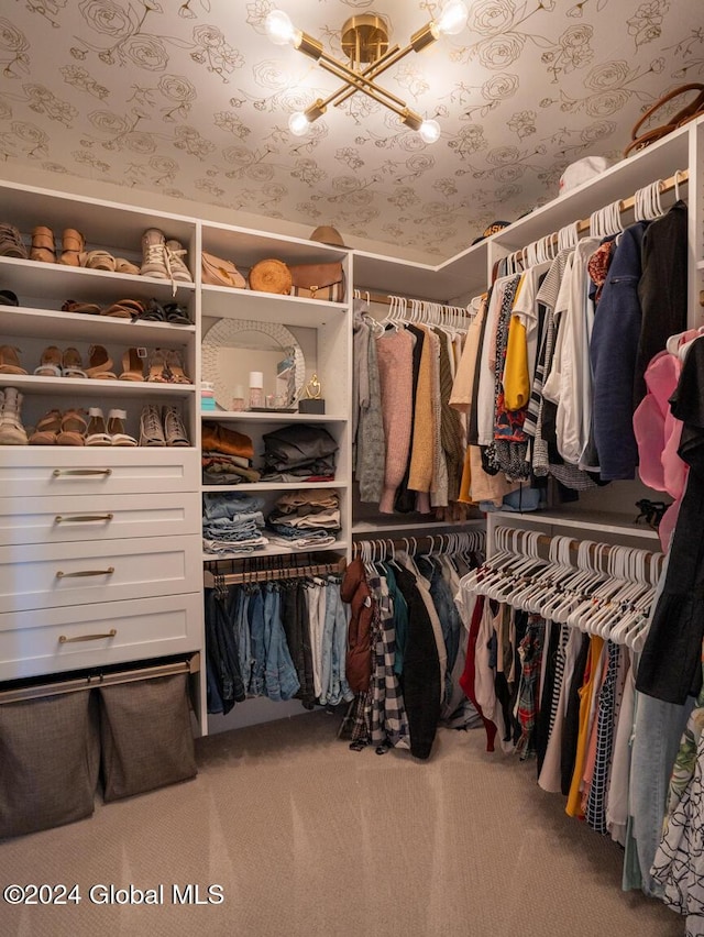 walk in closet featuring carpet and a chandelier