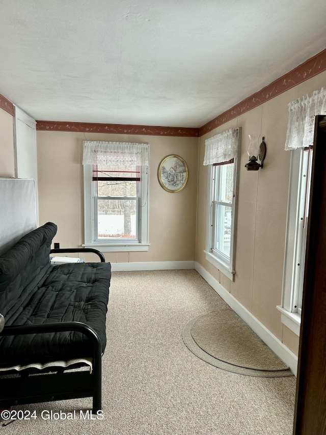 sitting room featuring carpet flooring