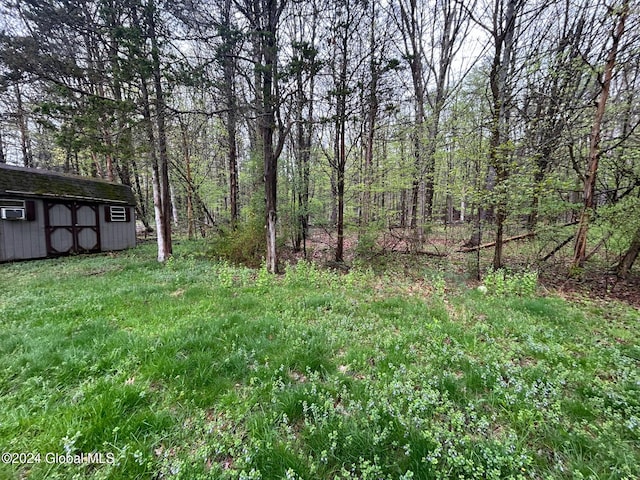 view of yard with a shed