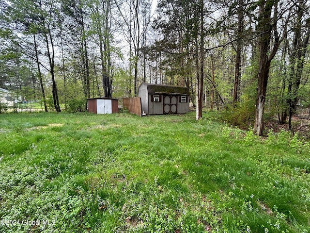 view of yard featuring a shed