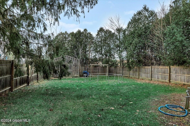 view of yard featuring a trampoline and a shed