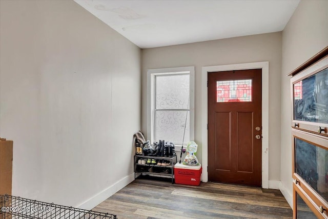 entrance foyer featuring dark wood-type flooring