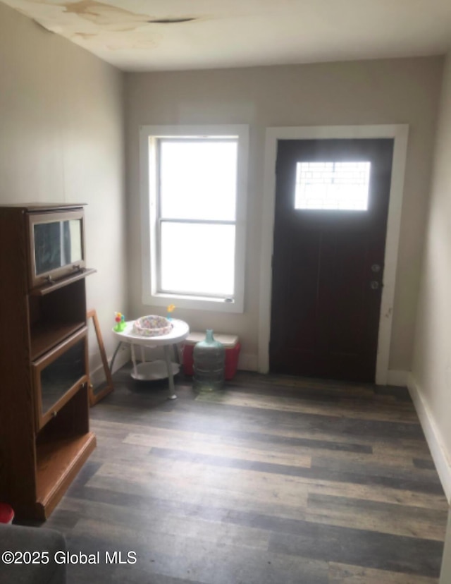 24 Wagner St, Fort Plain, NY 13339 - entrance foyer featuring healthy amount of natural light and dark wood-style flooring