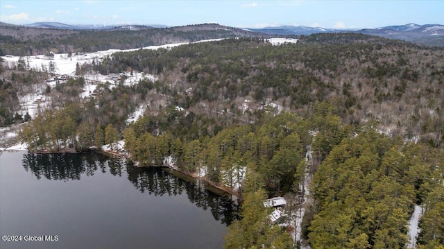 aerial view with a water and mountain view