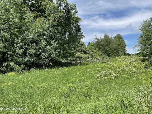 L7.8 Halterman Rd, Granville, NY 12832 - photo 2