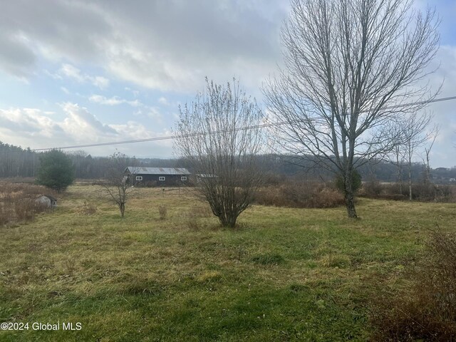 238 Mcewan Rd, Canajoharie, NY 13317 - view of yard featuring a view of rural / pastoral area