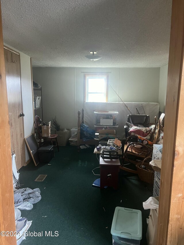 238 Mcewan Rd, Canajoharie, NY 13317 - carpeted home office featuring a textured ceiling