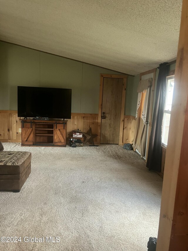 living area with carpet, wood walls, vaulted ceiling, wainscoting, and a textured ceiling