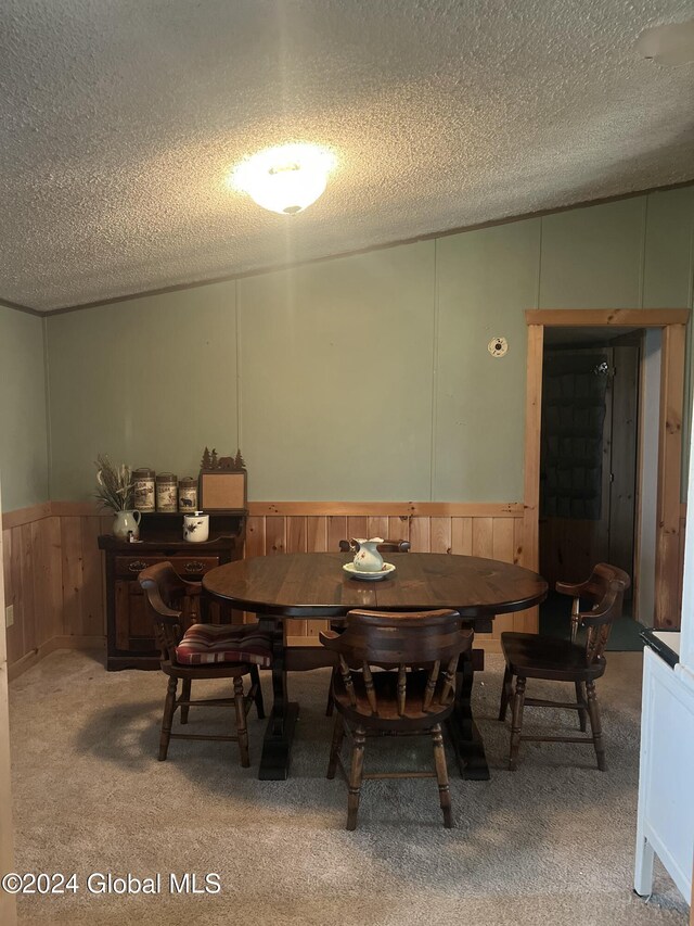 238 Mcewan Rd, Canajoharie, NY 13317 - dining space featuring a textured ceiling, a wainscoted wall, carpet flooring, and wood walls