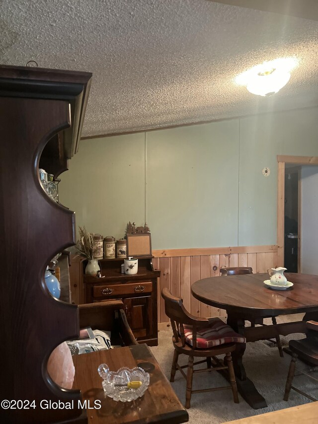 238 Mcewan Rd, Canajoharie, NY 13317 - carpeted dining area featuring a textured ceiling and wainscoting