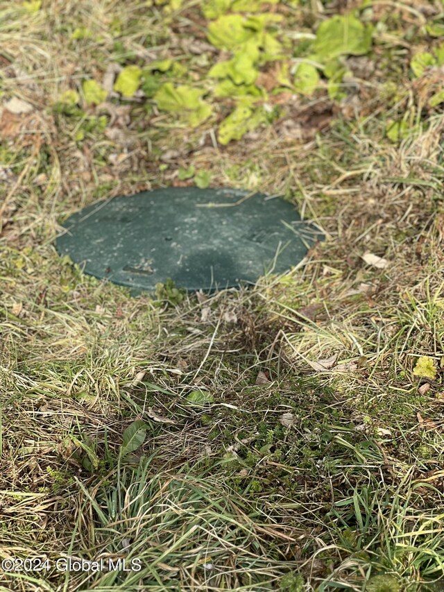 238 Mcewan Rd, Canajoharie, NY 13317 - exterior view of a water meter