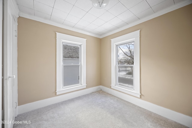 carpeted empty room with crown molding