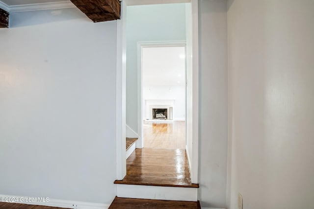 stairs featuring wood-type flooring