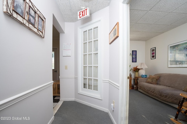 doorway featuring carpet flooring and a paneled ceiling