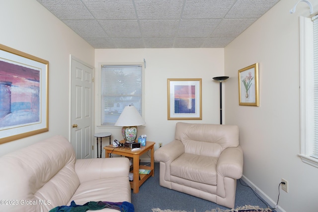 living area with carpet flooring and plenty of natural light