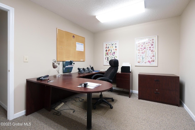 carpeted office with a textured ceiling