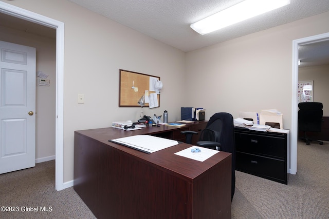 office featuring a textured ceiling and light colored carpet