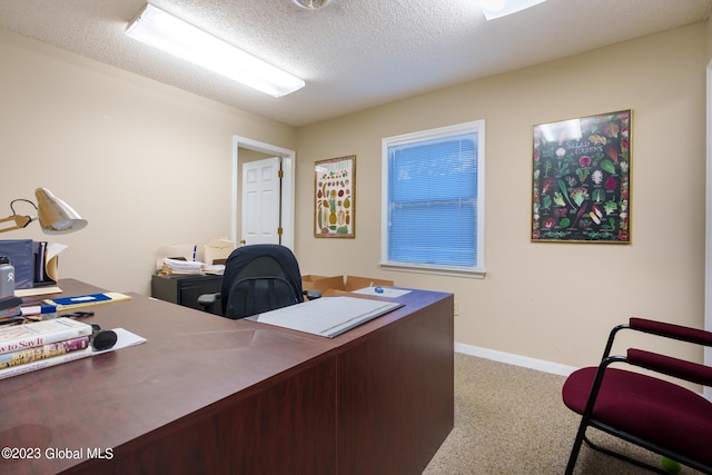 office area featuring carpet and a textured ceiling