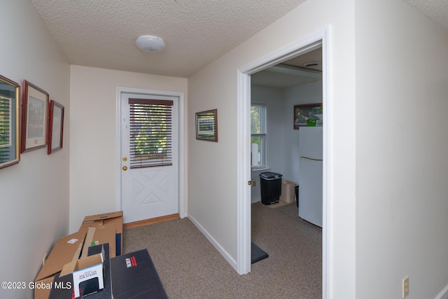 doorway featuring carpet, plenty of natural light, and a textured ceiling